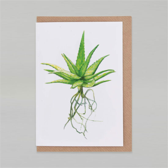 Cactus card Spotted Aloe