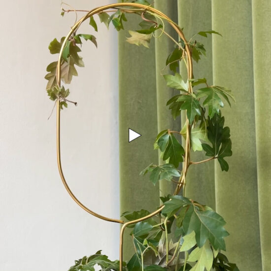 Arch Plant Stake by Botanopia video