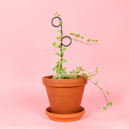 Mini Plant Stake Perch Black by Botanopia