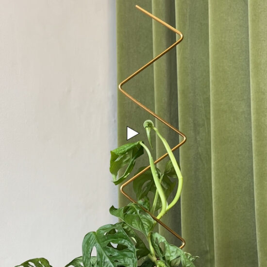 Arch Plant Stake by Botanopia video