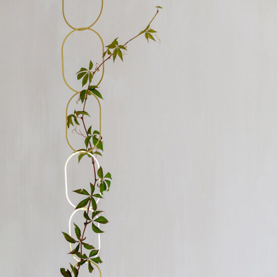 Climbing plant support gold by Botanopia