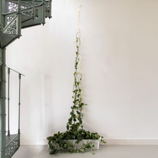 Climbing plant support gold by Botanopia