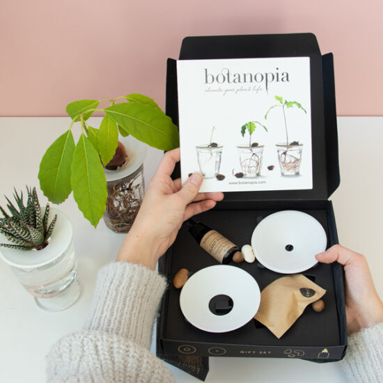 Germination Giftset by Botanopia