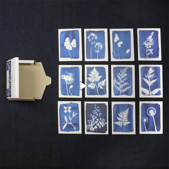 Cyanotype Card stopmotion by Botanopia video thumbnail